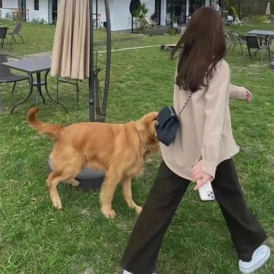 疯狂爷孙