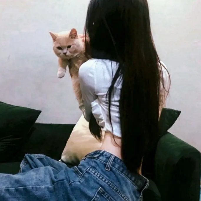 波士早晨粤语